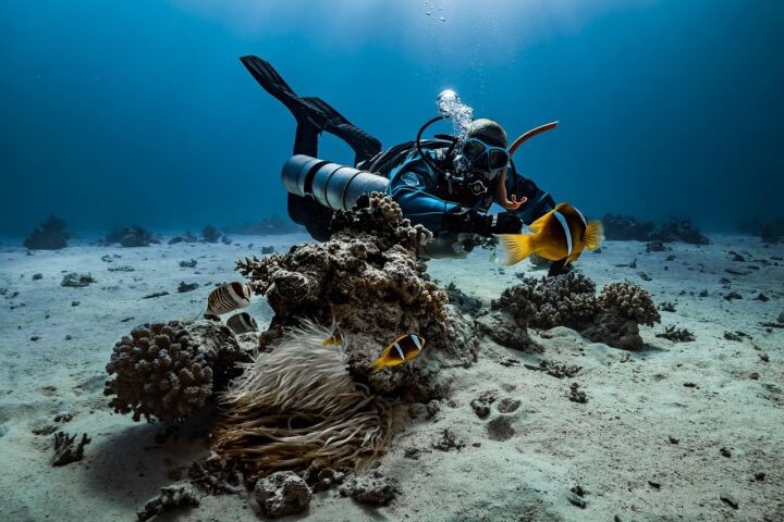 5 things you need to know before scuba diving